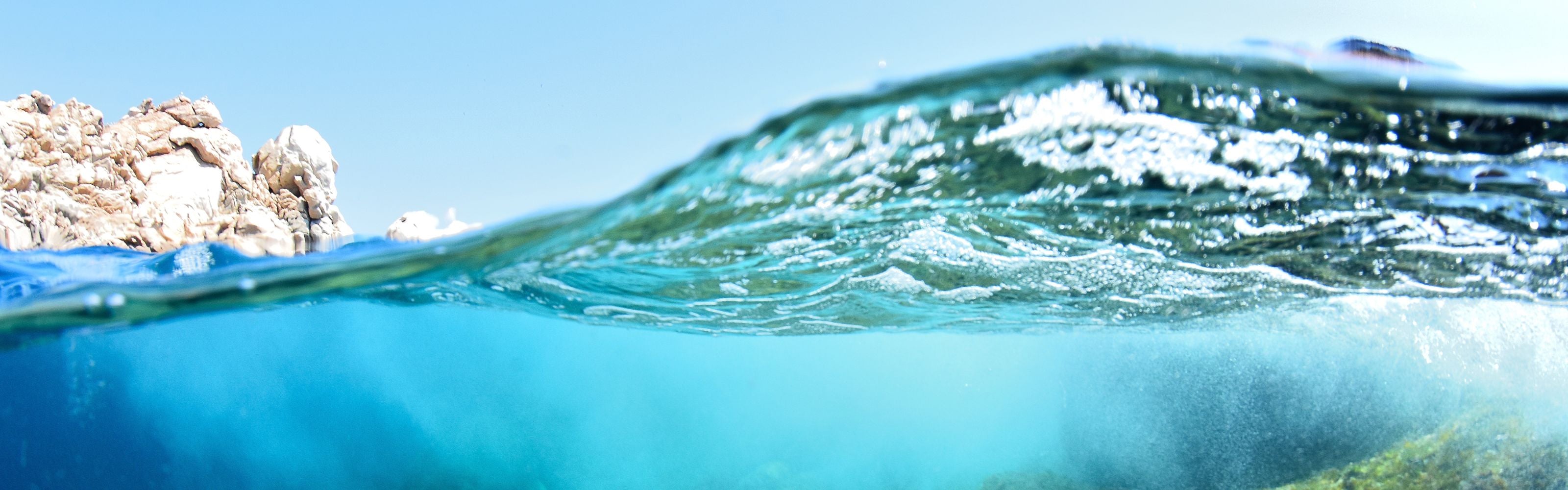 Protecting our Oceans this World Oceans Day